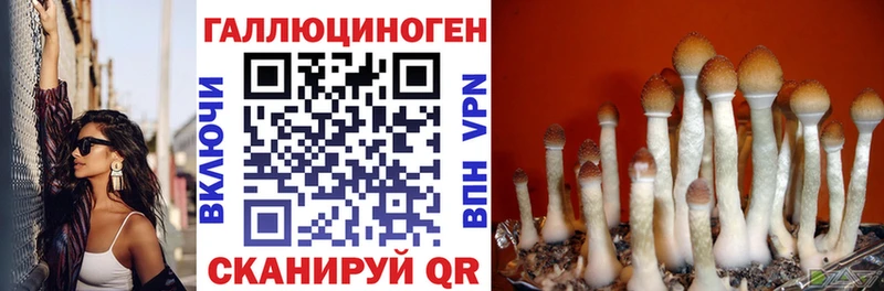 Купить закладки Александров Галлюциногенные грибы Magic Shrooms