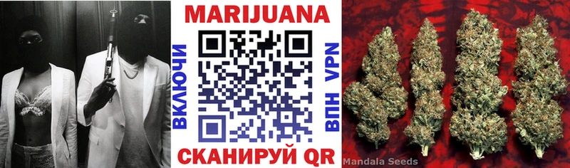 Купить  Александров  Каннабис ГИДРОПОН 